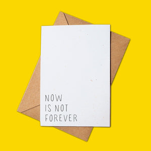 Now Is Not Forever